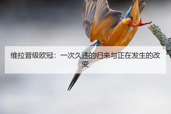 wei-la-jin-ji-ou-guan-yi-ci-jiu-wei-de-gui-lai-yu-zheng-zai-fa-sheng-de-gai-bian-2-992.jpg